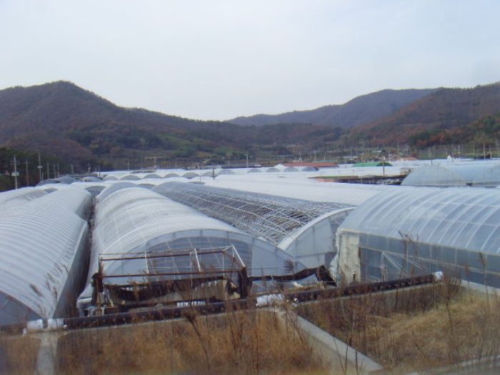 전라남도 진도군 고군면 향동리 305-2 외 2필지 양어장 경매 사진 1