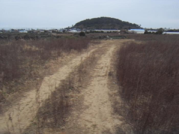 제주특별자치도 서귀포시 대정읍 무릉리 3530-1 외 4필지 전 경매 사진 8