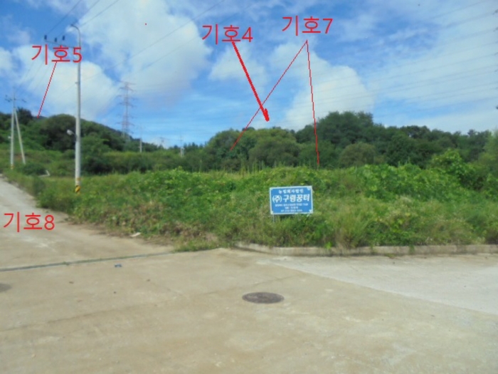 충북 충주시 앙성면 마련리 204-5 답 경매 사진 7