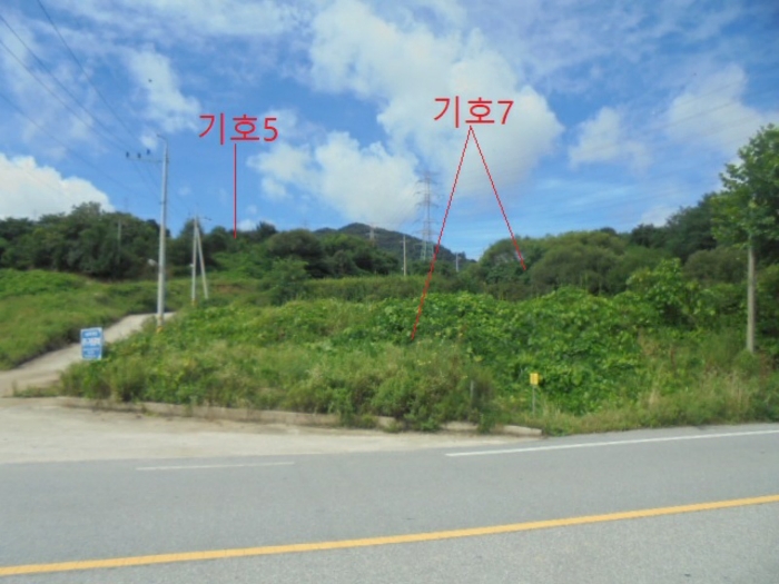 충북 충주시 앙성면 마련리 204-5 답 경매 사진 9