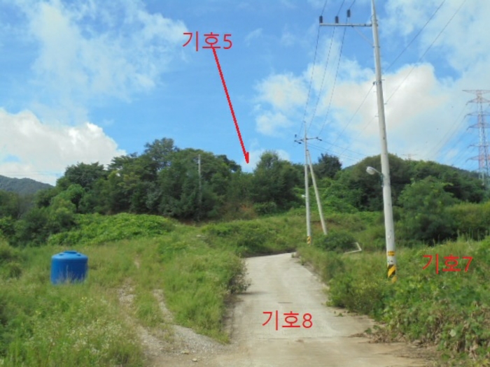 충북 충주시 앙성면 마련리 204-5 답 경매 사진 10