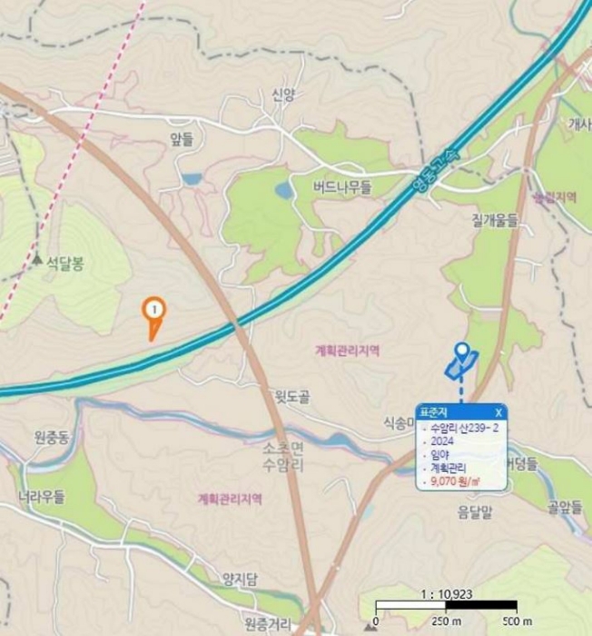 강원특별자치도 원주시 소초면 수암리 산219-3 임야 경매 사진 4