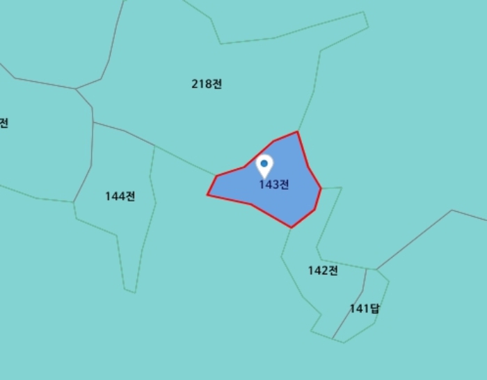 충청남도 금산군 군북면 조정리 143 전 경매 사진 14