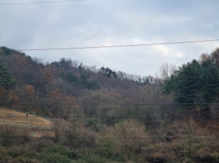 충청남도 금산군 군북면 조정리 143 전 경매 사진 7