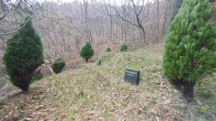 경상남도 사천시 사남면 화전리 48 답 경매 사진 6