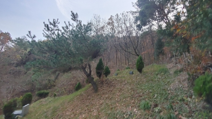 경상남도 사천시 사남면 화전리 48 답 경매 사진 7
