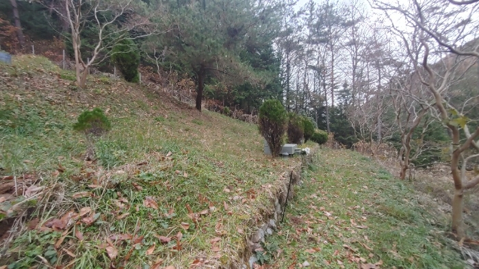 경상남도 사천시 사남면 화전리 48 답 경매 사진 8