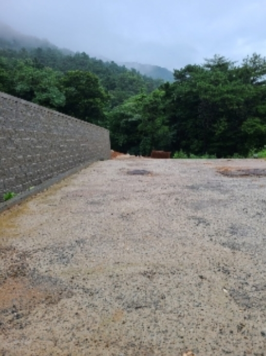 전라남도 장성군 북이면 신평리 340-50 외 3필지 과수원 경매 사진 10