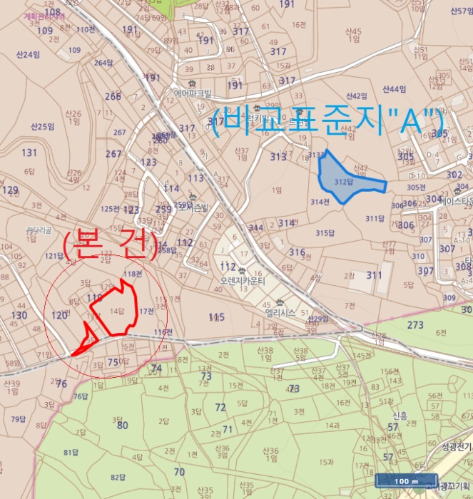 경기도 평택시 팽성읍 원정리 119-14 답 경매 사진 10