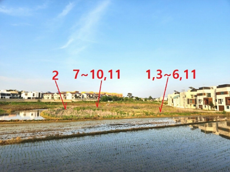 경기도 평택시 팽성읍 원정리 119-13 답 경매 사진 1