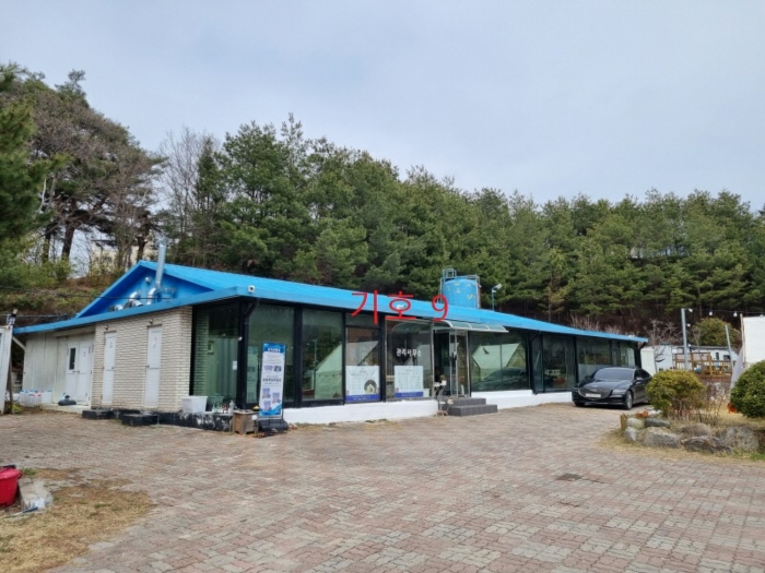 강원특별자치도 강릉시 사천면 사천진리 41-3 외 2필지 상가주택 경매 사진 27