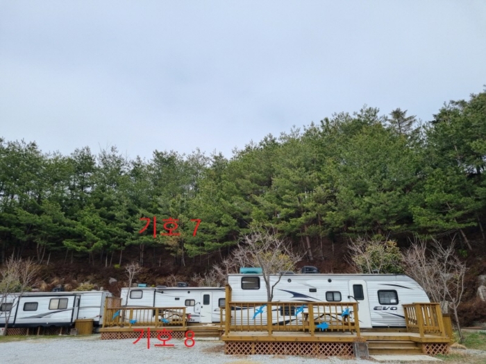강원특별자치도 강릉시 사천면 사천진리 41-3 외 2필지 상가주택 경매 사진 28