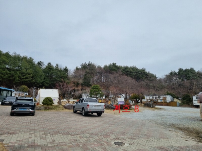 강원특별자치도 강릉시 사천면 사천진리 41-3 외 2필지 상가주택 경매 사진 29