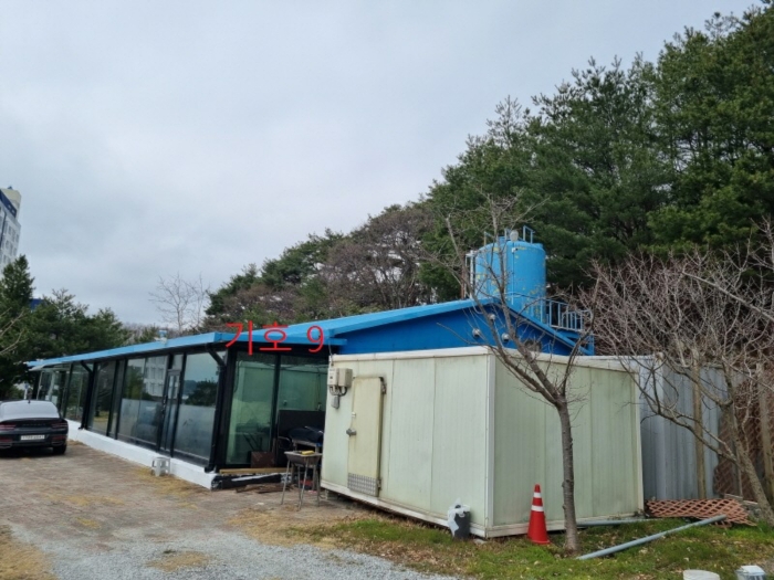 강원특별자치도 강릉시 사천면 사천진리 41-3 외 2필지 상가주택 경매 사진 30