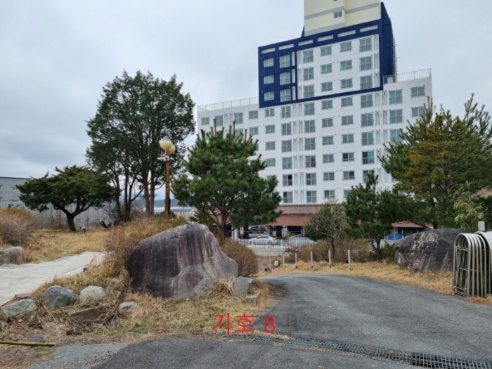 강원특별자치도 강릉시 사천면 사천진리 41-3 외 2필지 상가주택 경매 사진 32