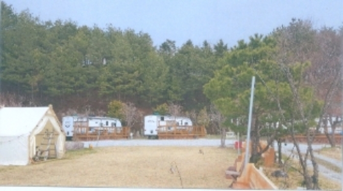 강원특별자치도 강릉시 사천면 사천진리 41-3 외 2필지 상가주택 경매 사진 5