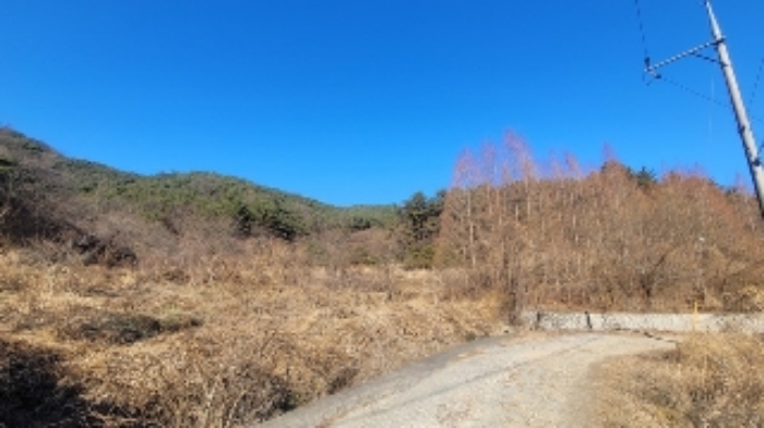경상남도 창원시 마산회원구 내서읍 삼계리 산101 임야 경매 사진 1