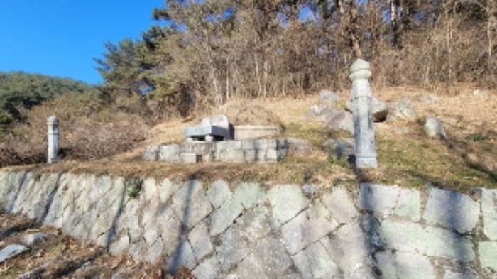 경상남도 창원시 마산회원구 내서읍 삼계리 산101 임야 경매 사진 2