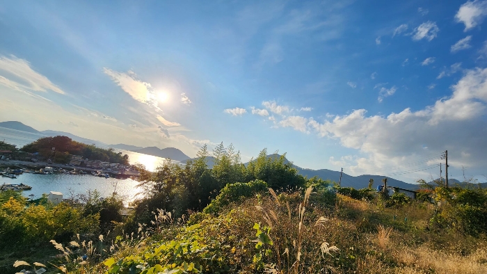 경상남도 거제시 거제면 오수리 1083 외 2필지 전 경매 사진 18