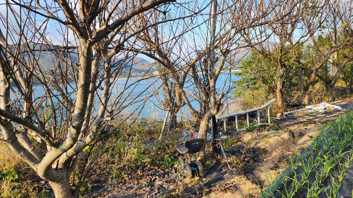 경상남도 거제시 거제면 오수리 1083 외 2필지 전 경매 사진 21