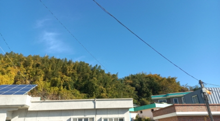 경상남도 거제시 거제면 오수리 1083 외 2필지 전 경매 사진 8
