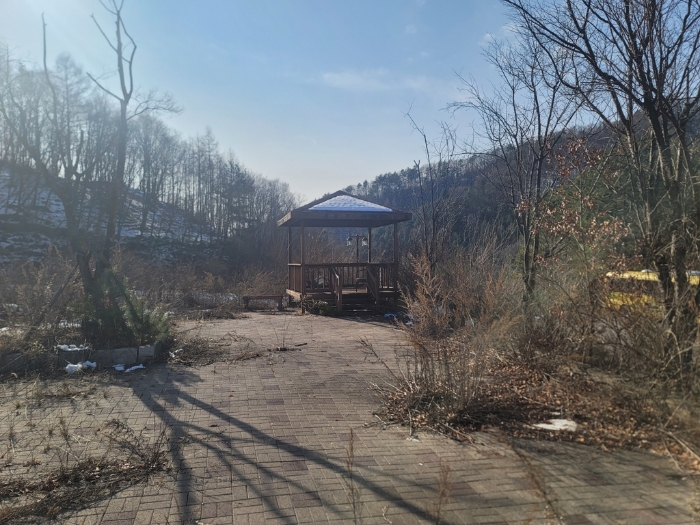 강원특별자치도 평창군 용평면 도사리 108-2 외 3필지 임야 경매 사진 18