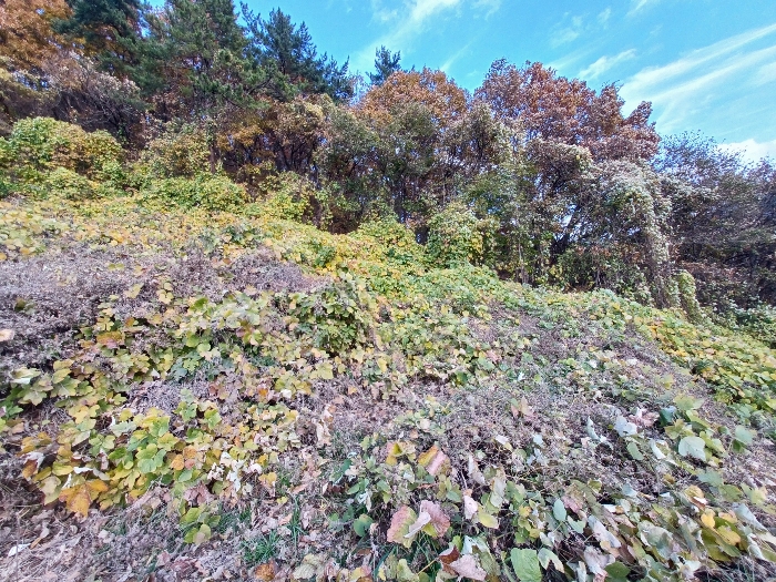 경상남도 남해군 남면 임포리 1139 외 1필지 답 경매 사진 5