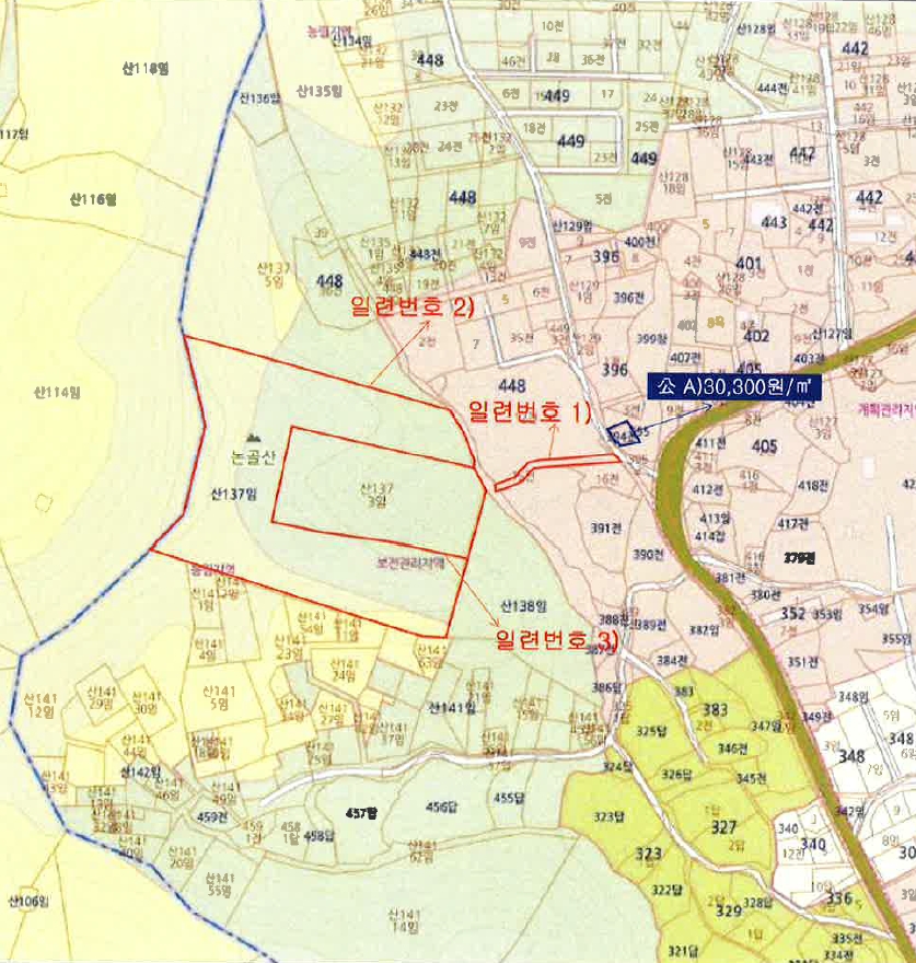 전라남도 담양군 용면 쌍태리 448-15 전 경매 사진 3