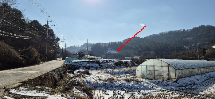 경기도 가평군 설악면 위곡리 968-3 과수원 경매 사진 20