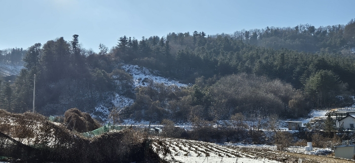 경기도 가평군 설악면 위곡리 968-3 과수원 경매 사진 21
