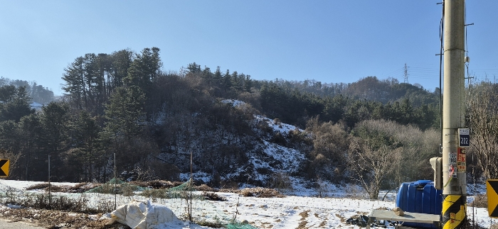 경기도 가평군 설악면 위곡리 968-3 과수원 경매 사진 23