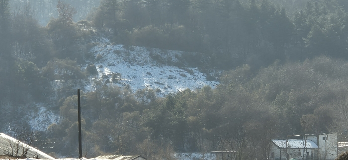 경기도 가평군 설악면 위곡리 968-3 과수원 경매 사진 24