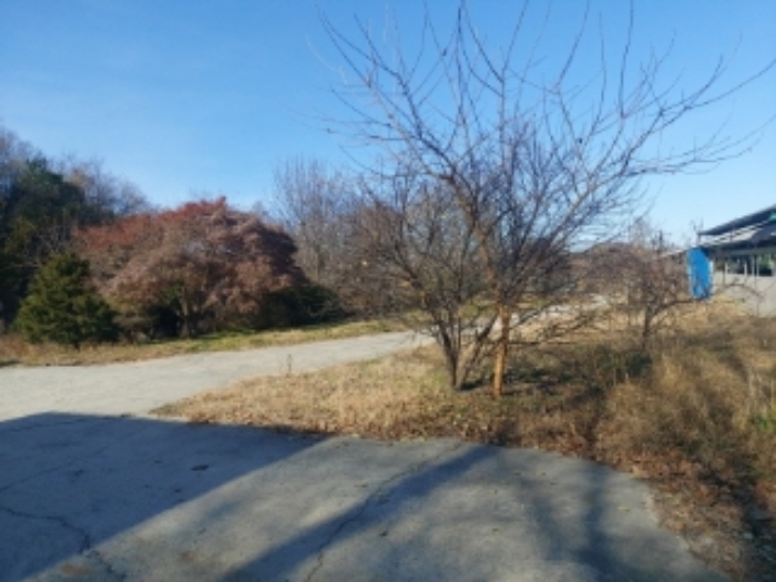 충청남도 당진시 합덕읍 소소리 383-1 외 1필지 동물및식물관련시설 경매 사진 1