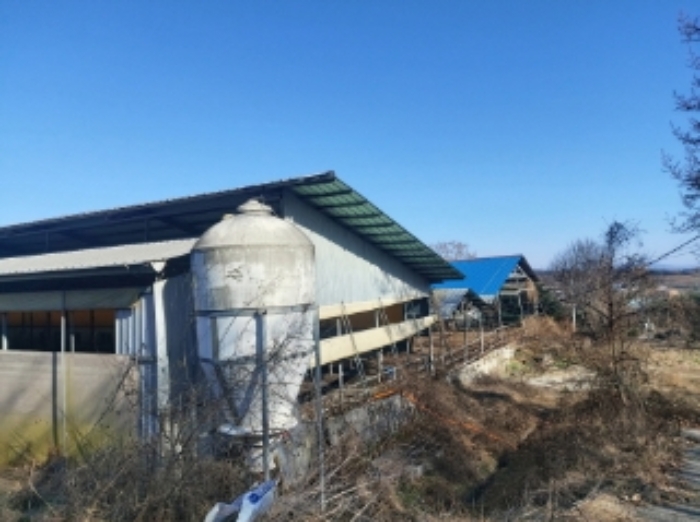 충청남도 당진시 합덕읍 소소리 383-1 외 1필지 동물및식물관련시설 경매 사진 11
