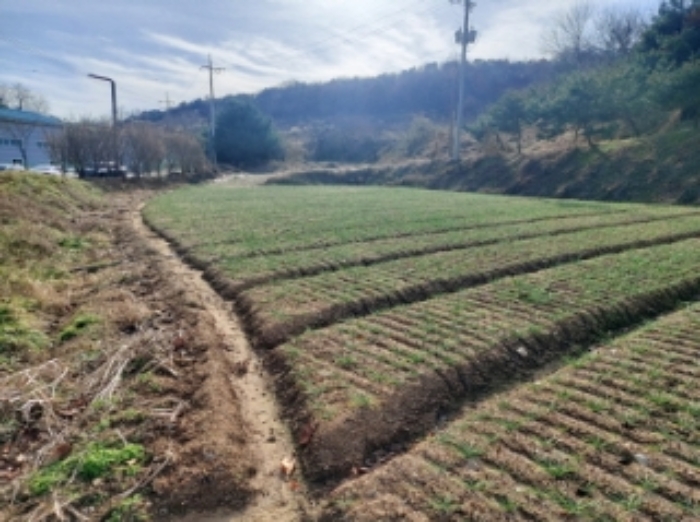 충청남도 당진시 합덕읍 소소리 383-1 외 1필지 동물및식물관련시설 경매 사진 101