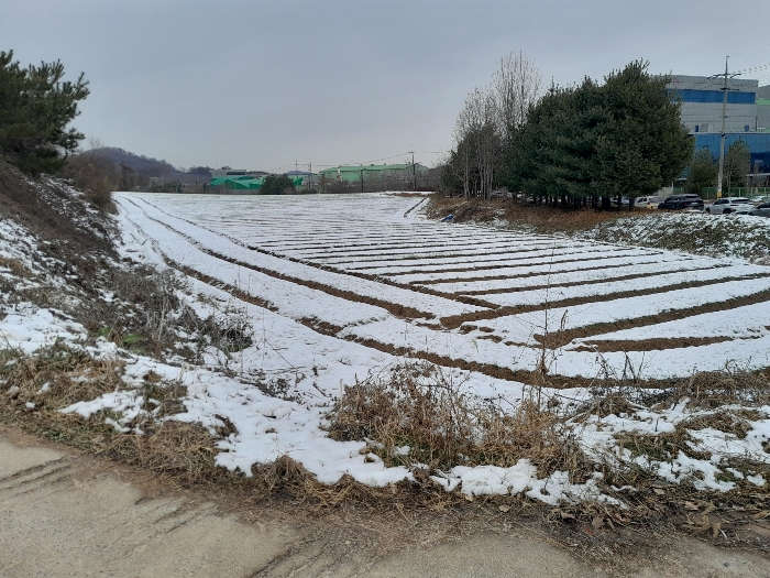 충청남도 당진시 합덕읍 소소리 383-1 외 1필지 동물및식물관련시설 경매 사진 110