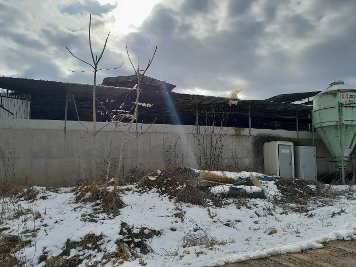 충청남도 당진시 합덕읍 소소리 383-1 외 1필지 동물및식물관련시설 경매 사진 111