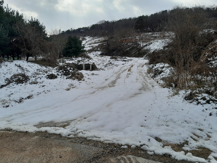 충청남도 당진시 합덕읍 소소리 383-1 외 1필지 동물및식물관련시설 경매 사진 114