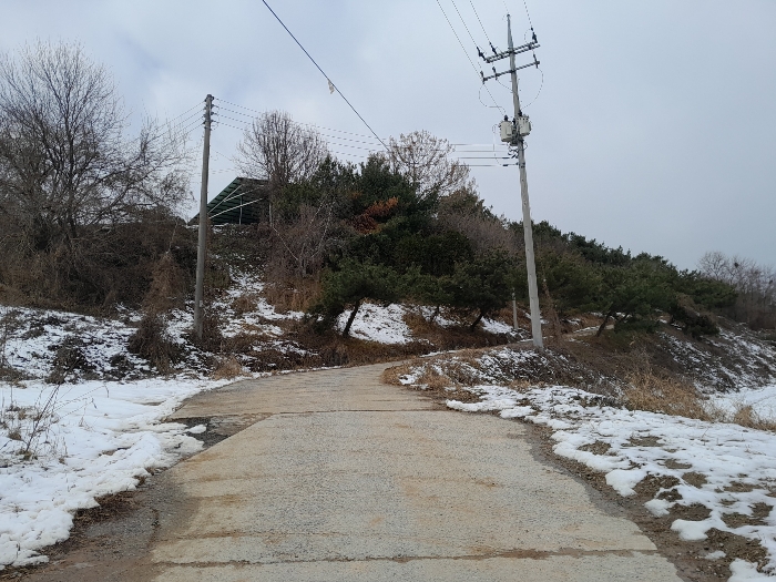충청남도 당진시 합덕읍 소소리 383-1 외 1필지 동물및식물관련시설 경매 사진 117
