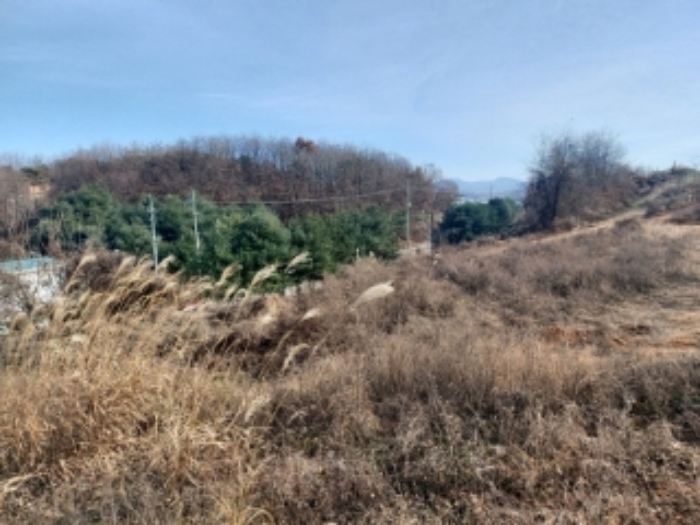 충청남도 당진시 합덕읍 소소리 383-1 외 1필지 동물및식물관련시설 경매 사진 19