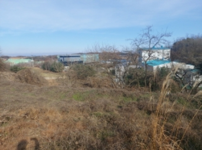 충청남도 당진시 합덕읍 소소리 383-1 외 1필지 동물및식물관련시설 경매 사진 20