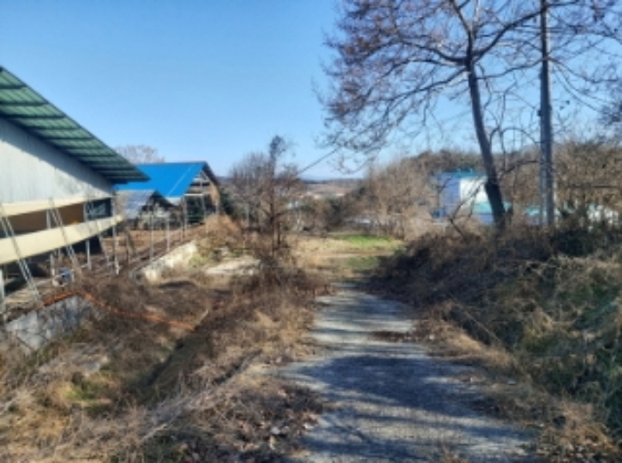 충청남도 당진시 합덕읍 소소리 383-1 외 1필지 동물및식물관련시설 경매 사진 3
