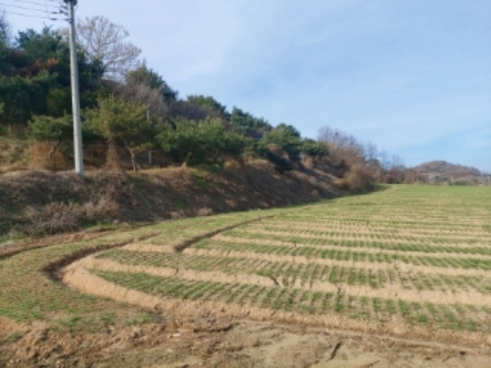 충청남도 당진시 합덕읍 소소리 383-1 외 1필지 동물및식물관련시설 경매 사진 21