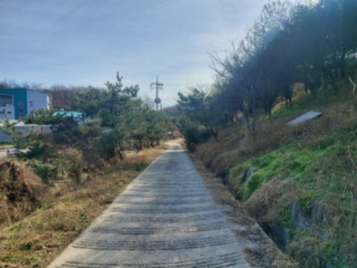 충청남도 당진시 합덕읍 소소리 383-1 외 1필지 동물및식물관련시설 경매 사진 37