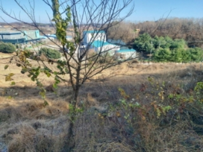 충청남도 당진시 합덕읍 소소리 383-1 외 1필지 동물및식물관련시설 경매 사진 42