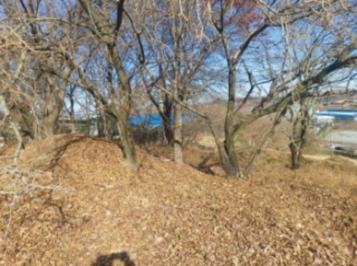 충청남도 당진시 합덕읍 소소리 383-1 외 1필지 동물및식물관련시설 경매 사진 43