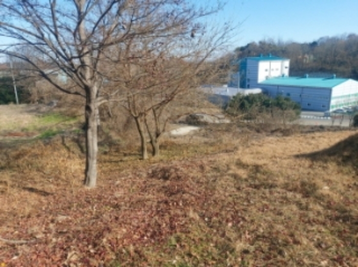 충청남도 당진시 합덕읍 소소리 383-1 외 1필지 동물및식물관련시설 경매 사진 45