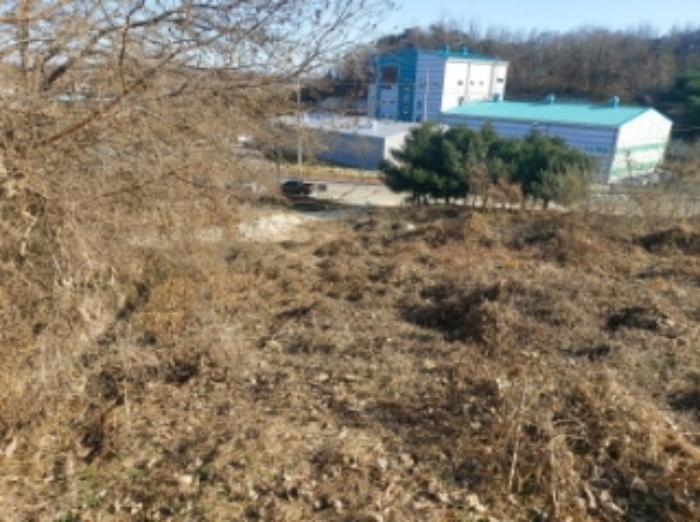 충청남도 당진시 합덕읍 소소리 383-1 외 1필지 동물및식물관련시설 경매 사진 46