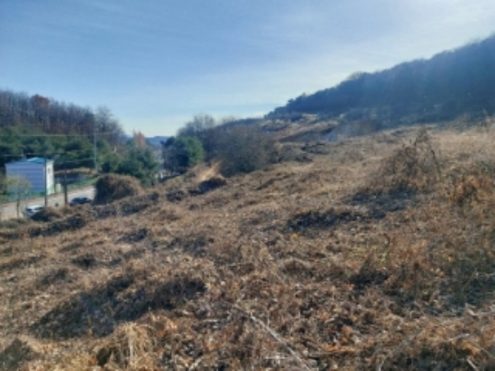 충청남도 당진시 합덕읍 소소리 383-1 외 1필지 동물및식물관련시설 경매 사진 47