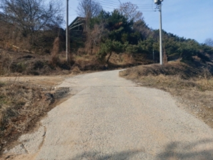 충청남도 당진시 합덕읍 소소리 383-1 외 1필지 동물및식물관련시설 경매 사진 49